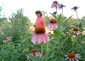 Penny Frazier, founder of PineNut.com and Goods from the Woods midst the medicinal echinacea flowers on her wild crops farm